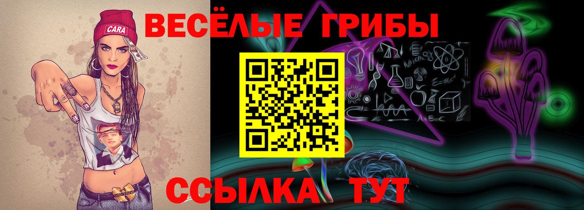 Нерюнгри  Галлюциногенные грибы мицелий  Вход с VPN 